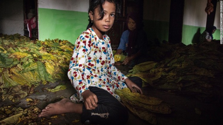 160525111440-hrw-indonesia-tobacco-children-1-exlarge-169